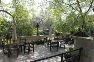 NLC Terrace